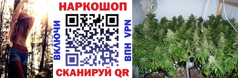Купить закладку Опочка KRAKEN как войти Меф Cocaine Гашиш Бошки Шишки СОЛЬ