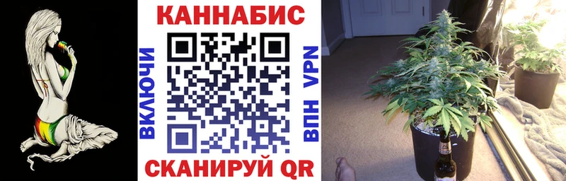 купить   Опочка  Бошки Шишки индика 